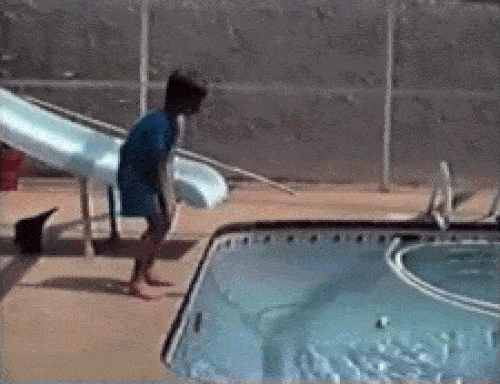 Ảnh động: Lũ trẻ gặp nạn hài hước lúc nghịch ngợm-1