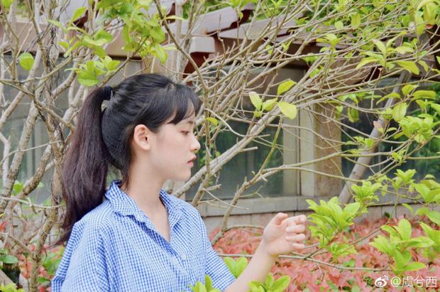 Đẹp dịu dàng mà không chói loá, nữ sinh 10X khiến ai cũng cảm nắng từ cái nhìn đầu tiên-4