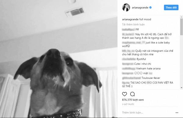 Ariana Grande và những lùm xùm làm mất lòng người hâm mộ-5