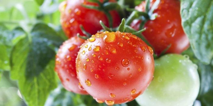 6 cách ăn cà chua có hại cho sức khỏe cần tránh-1