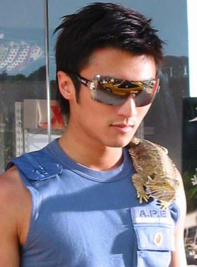 Thú nuôi kỳ dị của sao Hoa ngữ: Trần Kiều Ân mê tằm, Tạ Đình Phong nghiện thằn lằn-5