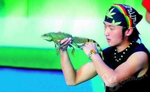 Thú nuôi kỳ dị của sao Hoa ngữ: Trần Kiều Ân mê tằm, Tạ Đình Phong nghiện thằn lằn-6