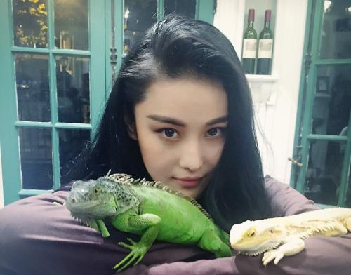 Thú nuôi kỳ dị của sao Hoa ngữ: Trần Kiều Ân mê tằm, Tạ Đình Phong nghiện thằn lằn-7