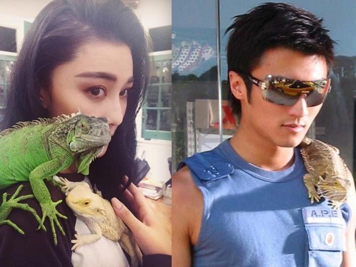 Cha Tạ Đình Phong để lại toàn bộ tài sản cho Trương Bá Chi và hai cháu-4