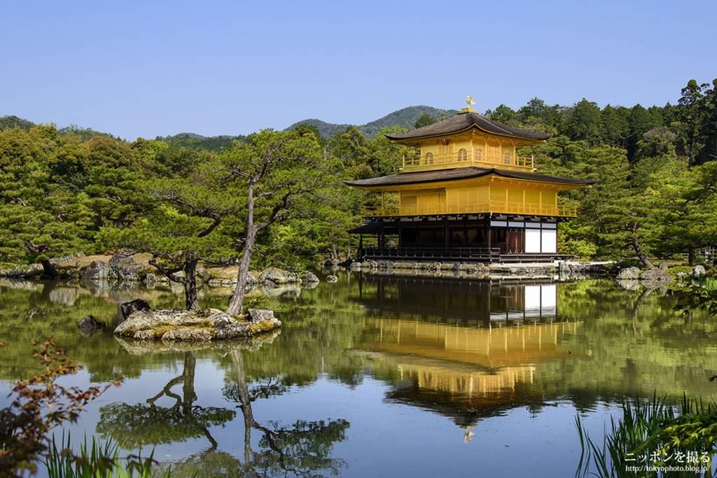 Choáng ngợp ngôi chùa được dát bằng vàng thật ở Nhật Bản-1