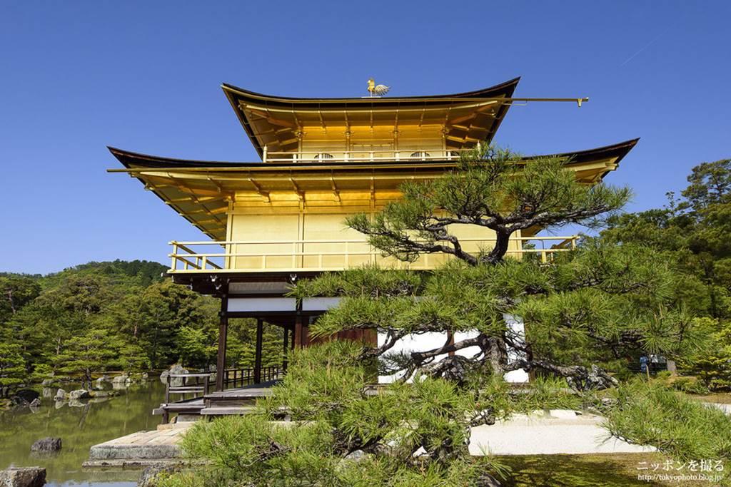 Choáng ngợp ngôi chùa được dát bằng vàng thật ở Nhật Bản-3