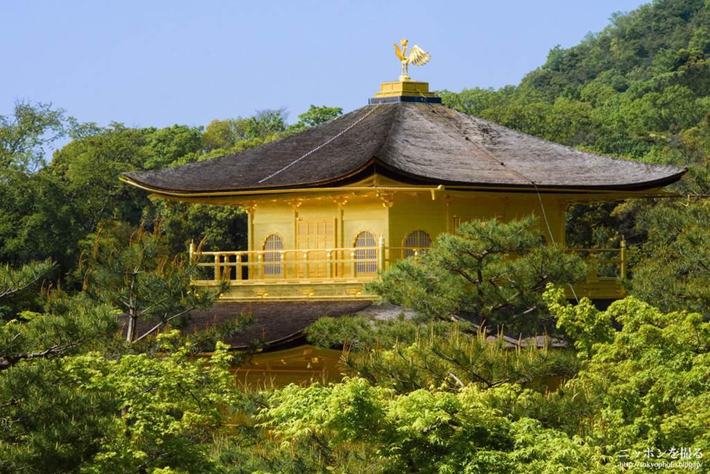 Choáng ngợp ngôi chùa được dát bằng vàng thật ở Nhật Bản-4