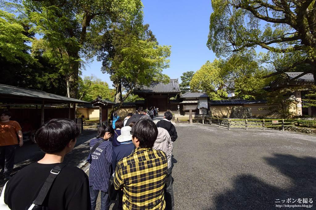 Choáng ngợp ngôi chùa được dát bằng vàng thật ở Nhật Bản-8