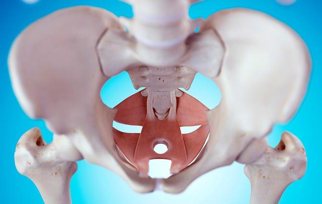 Những sai lầm bạn có thể mắc khi tập Kegel - bài tập cho vùng kín khỏe mạnh.-1