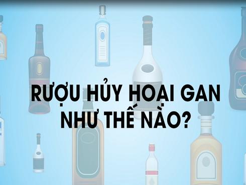 Rượu hủy hoại gan như thế nào?