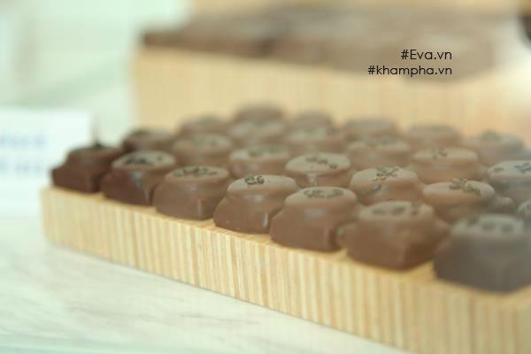 Mục sở thị quy trình sản xuất sô cô la được mệnh danh ngon nhất thế giới tại Hà Nội-3