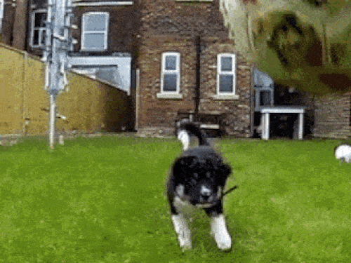 Nhật ký phiêu lưu ký: Viết ở dòng sông chết-1