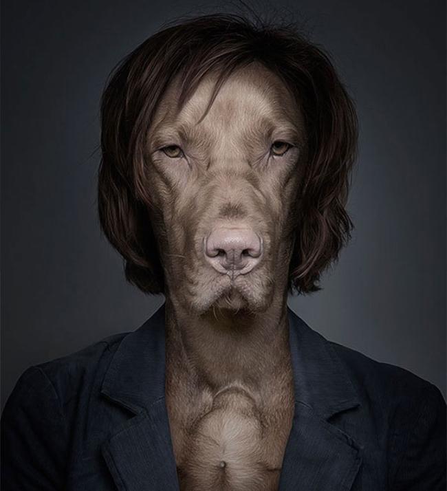 Những chú cún đỏng đảnh hơn cả chủ nhân-7