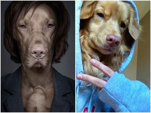 Ảnh động: Khoảnh khắc rơi não của động vật-4