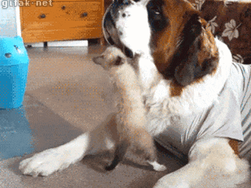 Clip: Màn võ thuật khiến toàn thể quan khách bối rối-1