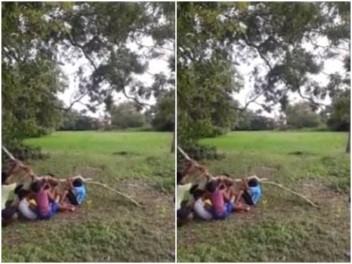 Những khoảnh khắc nhắng nhít cực đáng yêu của con trẻ-1