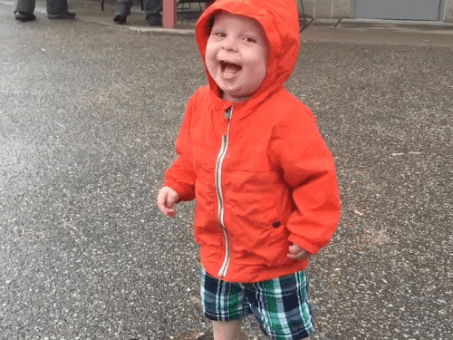 Ảnh động: Những pha thể hiện sự... ngu người-6