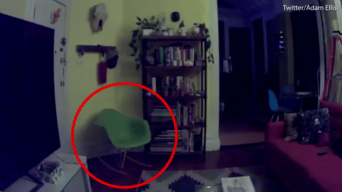 Clip: Lạnh gáy với hành động kỳ quặc của mèo, đồ đạc trong nhà tự xê dịch-5