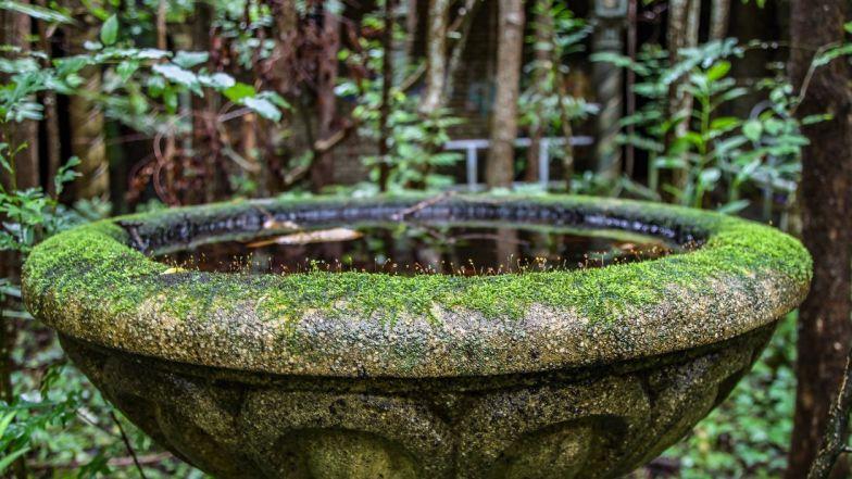 Lạnh người đột nhập thành phố ma bị siêu bão tàn phá-8