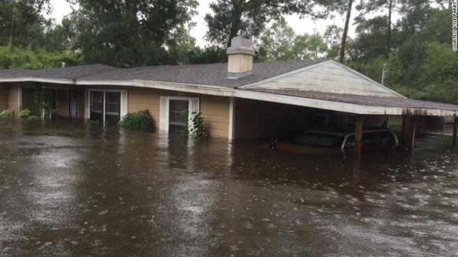 Lội bì bõm về nhà sau cơn bão Harvey, người đàn ông suýt khóc khi tìm được vật báu nơi góc tủ-5