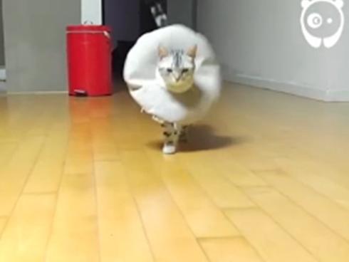 Clip hài: Siêu mẫu dẹp qua cho 'chụy'... diễn