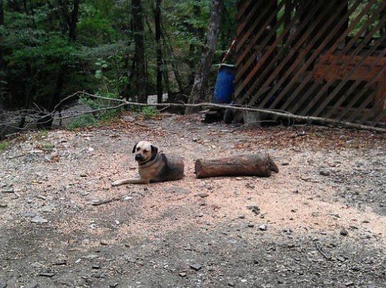 Rách miệng vì những bức ảnh trở nên hài hước nhờ chụp đúng thời điểm-7