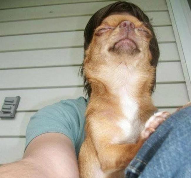 Rách miệng vì những bức ảnh trở nên hài hước nhờ chụp đúng thời điểm-8