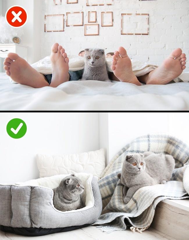 Ai có bồ rồi thì nhớ làm mấy điều này trước khi chung giường nhé!-9