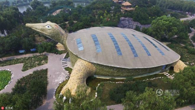 Lạ đời tòa nhà hình con rùa khổng lồ mà nhìn xa cứ ngỡ cụ rùa lên bờ-1