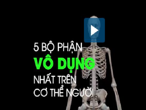 Những bộ phận dường như vô dụng nhất trên cơ thể người