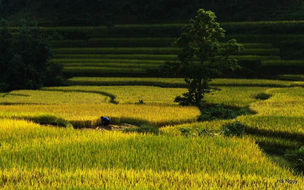 Bộ ảnh đẹp xuất sắc, ngắm là muốn phóng lên Hà Giang ngay lập tức-2