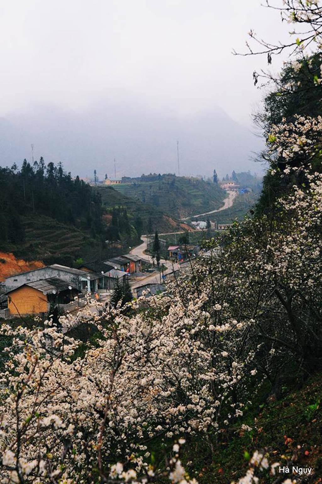 Bộ ảnh đẹp xuất sắc, ngắm là muốn phóng lên Hà Giang ngay lập tức-9