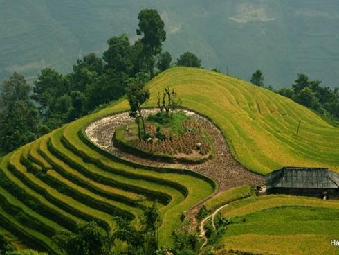 Những luật cấm lạ lùng nhưng có lý ở Thụy Sĩ-9