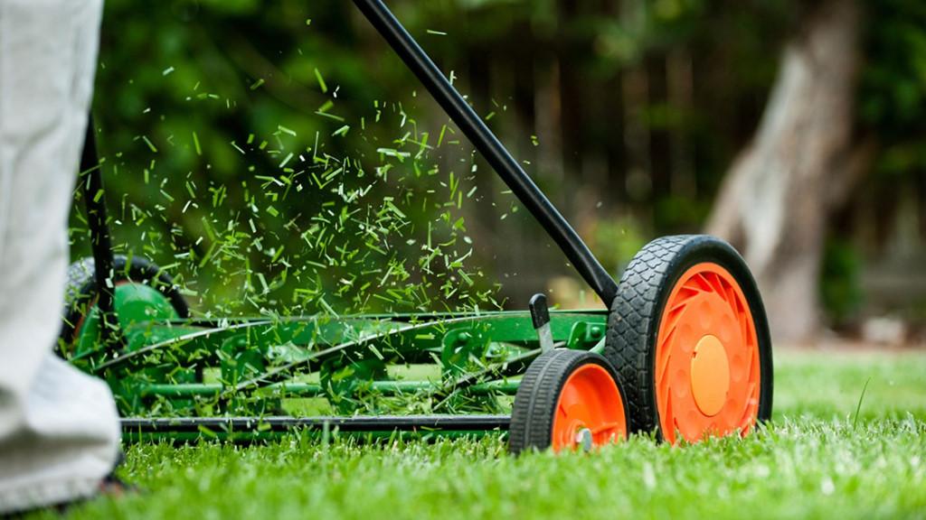 Những luật cấm lạ lùng nhưng có lý ở Thụy Sĩ-6