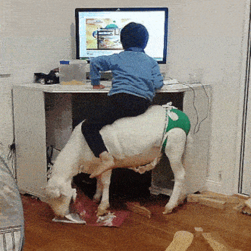 Những hình ảnh khiến ai cũng muốn có con-1