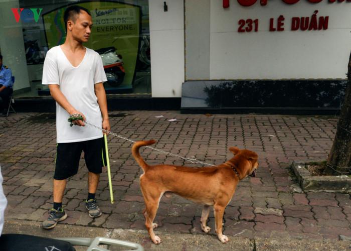 Ảnh: Chó nuôi tung hoành phố phường Hà Nội trước luật cấm mới-10