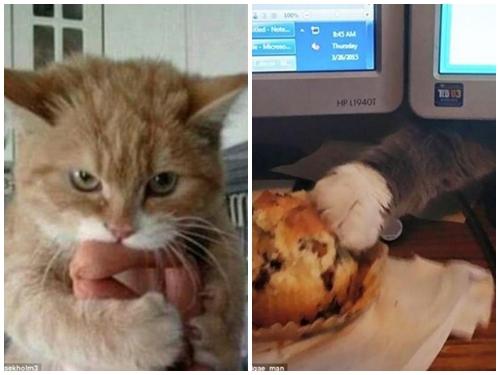 Ảnh động: Đi thang máy táy máy là... vỡ mồm-6