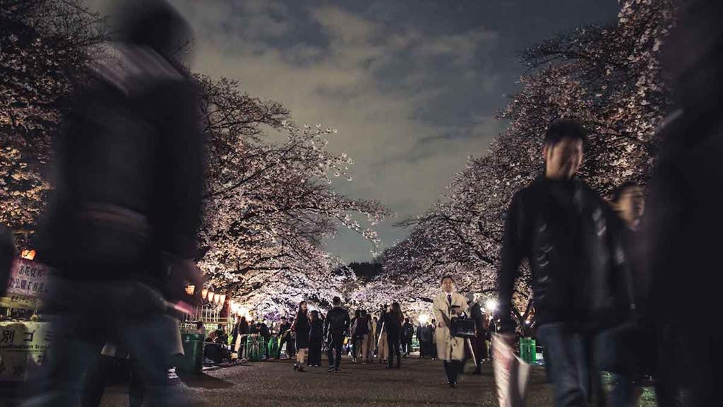 Tokyo bình dị và gần gũi qua loạt ảnh đường phố chân thực-9