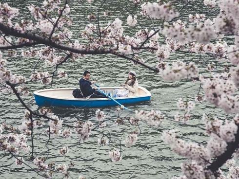 Tokyo bình dị và gần gũi qua loạt ảnh đường phố chân thực
