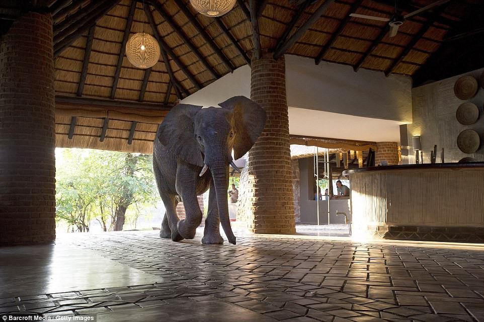 Việt Nam lọt top 10 điểm đến hấp dẫn mùa thu-9