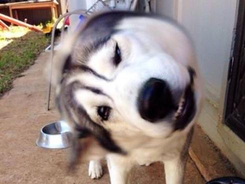 Clip hài: Cứ thế này bao giờ cho thoát... ế-1