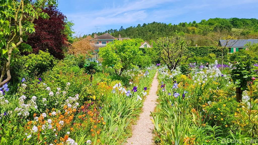 Theo cô gái Việt thăm vườn hoa của danh họa Monet-4