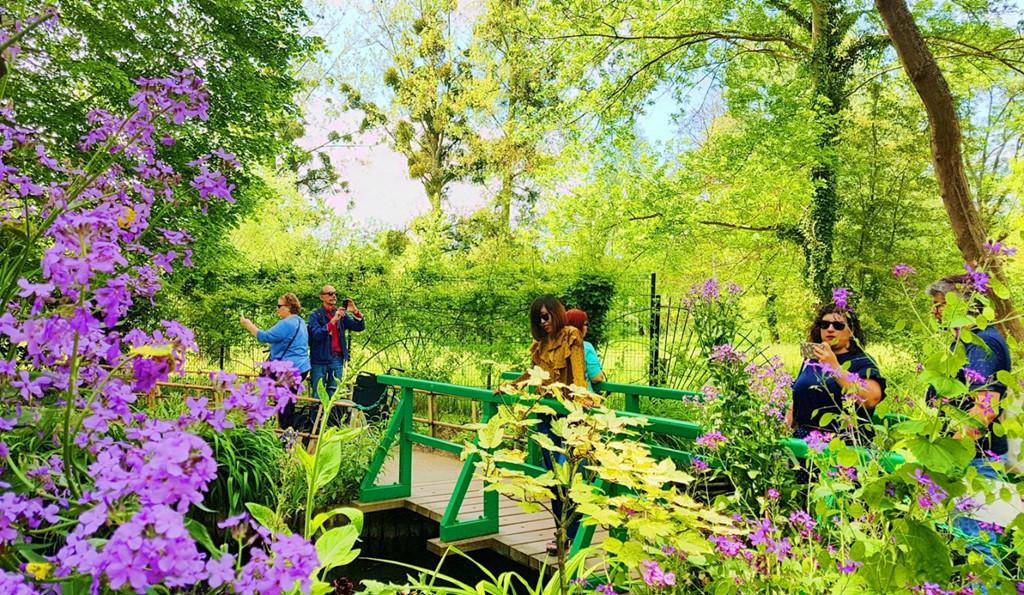Theo cô gái Việt thăm vườn hoa của danh họa Monet-7
