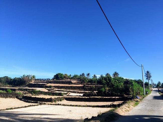 Đến đảo Bé, Lý Sơn để thấy Việt Nam đẹp thế nào!-4