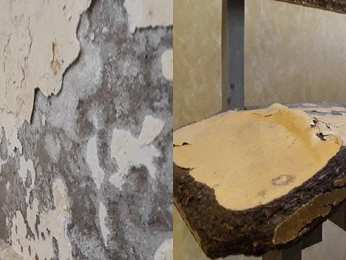 Trường Nghệ thuật Hà Nội đáp trả vụ vợ Xuân Bắc tố bị chèn ép-3