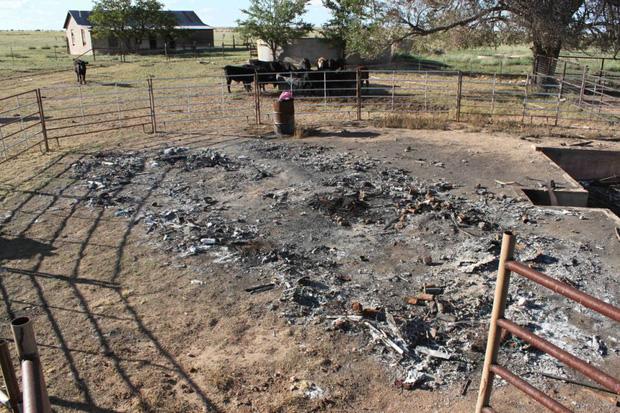 7 vụ vượt ngục khét tiếng nhất nước Mỹ, một trong số đó còn được chuyển thể thành phim-10