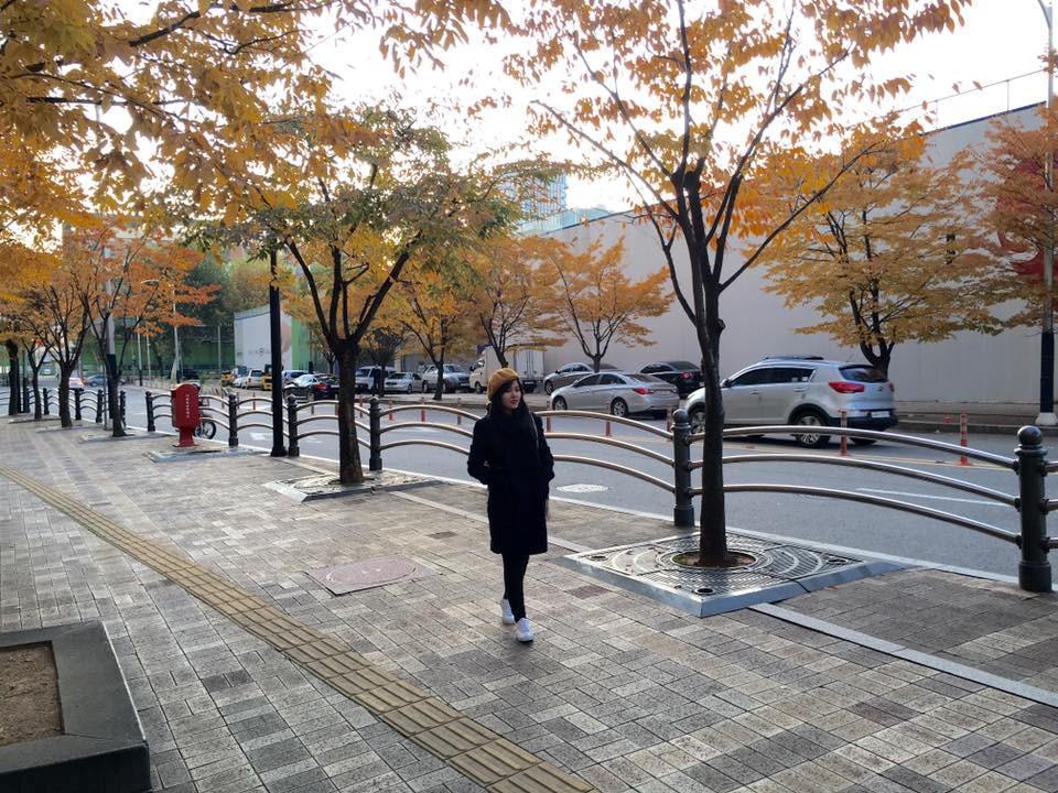 Hàn Quốc - thiên đường đỏ rực màu lá lúc thu sang-2