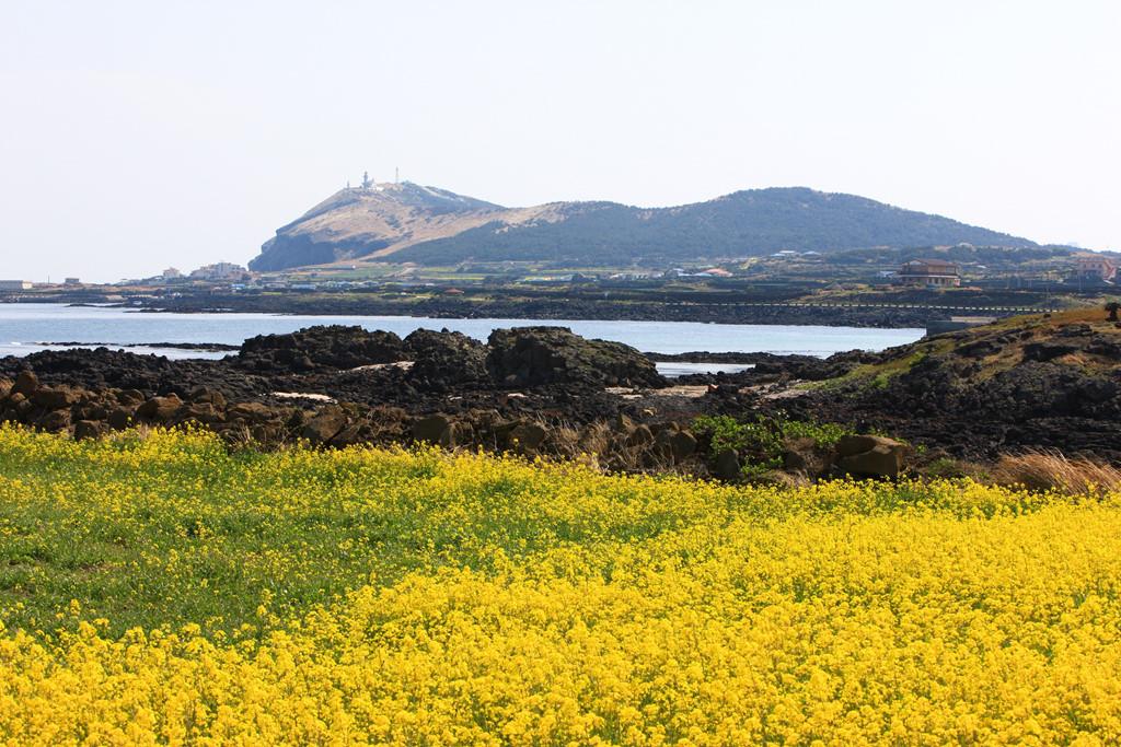 Hàn Quốc - thiên đường đỏ rực màu lá lúc thu sang-7