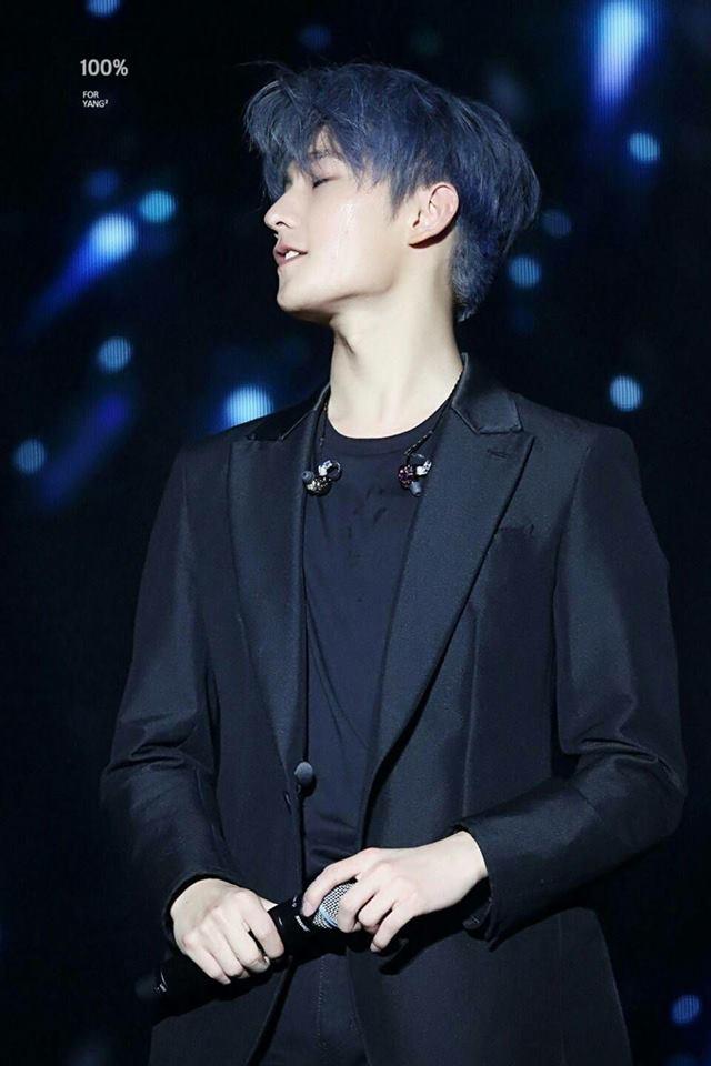 Điểm danh những kho báu triệu đô trên cơ thể các ngôi sao Hoa ngữ-7