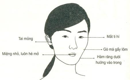 Tổng hợp tướng phụ nữ không xấu người thì xấu nết, ai yêu phải cũng khổ cực trăm bề-4